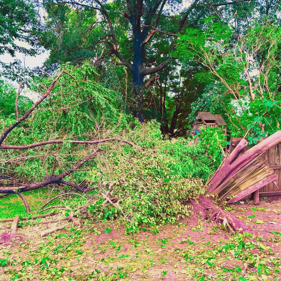 Ozark Storm Damage