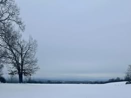Amy-Davis-snowy-field-with-skyline