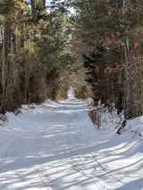 Emily-Ross-County-Road-3340-driveway