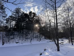 Heather-Fresard-sun-peeking-through-snowy-trees-Clarskville