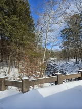 Janetta-Sheppard-Cale-Watalula-area-Ozark