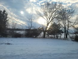 Kathleen-Jo-Meinert-partly-sunny-treeline