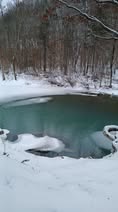 Kathy-Haikey-Catalpa-pond