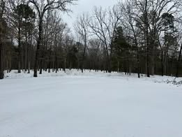 Kristi-Robertson-East-Johnson-County-snowy-yard