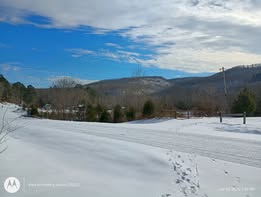 Linda-Karr-vibrant-blue-sky-Cass-Oark-Road-Hwy-215-North-Yale