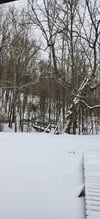 Lydia-Curtis-from-weekend-cabin-in-Hagarville