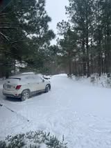 Priscilla-Johnson-Ozone-snowy-yard