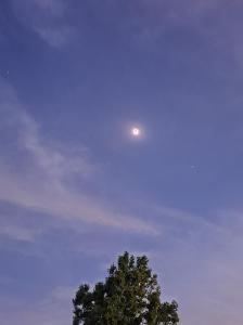 Tasha Schlittenhart total eclipse