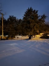 Trisha-Brown-evening-tree-in-yard