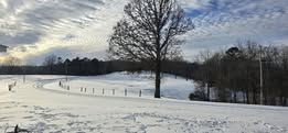 Wendy-Wyatt-Stepp-curve-in-road-Salus